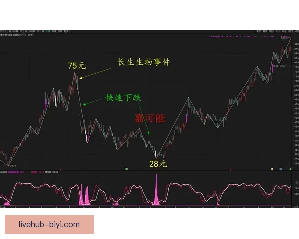 世界杯竞猜游戏高手必读全面解析投注技巧与稳健盈利实战指南