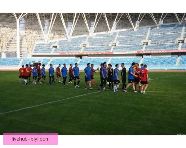 世界杯竞猜热潮来袭球迷智慧与激情交织的终极挑战盛宴